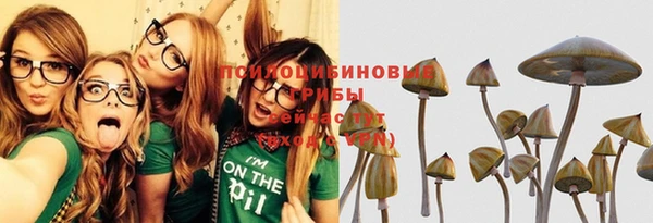 гашик Алексин