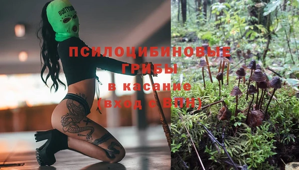прущий лед Алзамай