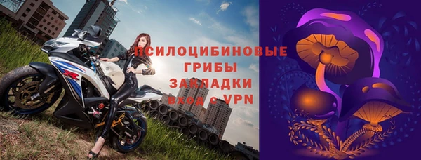 прущий лед Алзамай